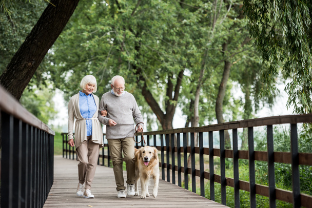 senior couple walking across wooden bridge with dog on leash - 写真・画像