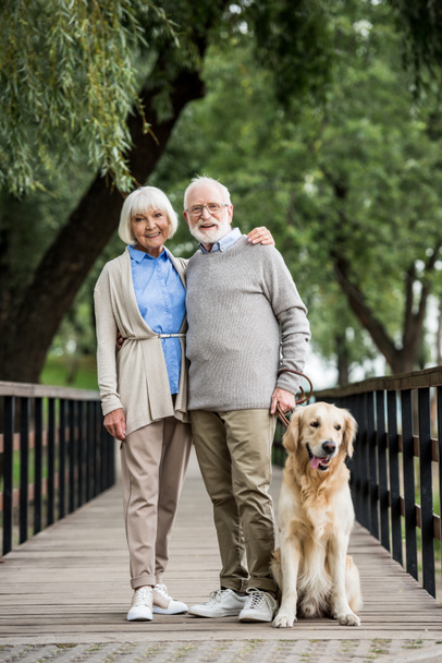 sourire couple aîné étreignant tout en marchant avec chien à travers le pont en bois
 - Photo, image