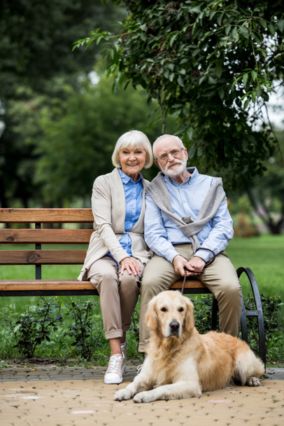 happy senior couple sitting on wooden bench and cute dog lying nearby on paved sidewalk - Photo, Image