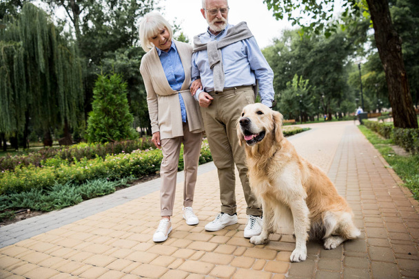 happy senior couple with adorable dog in park - Photo, Image