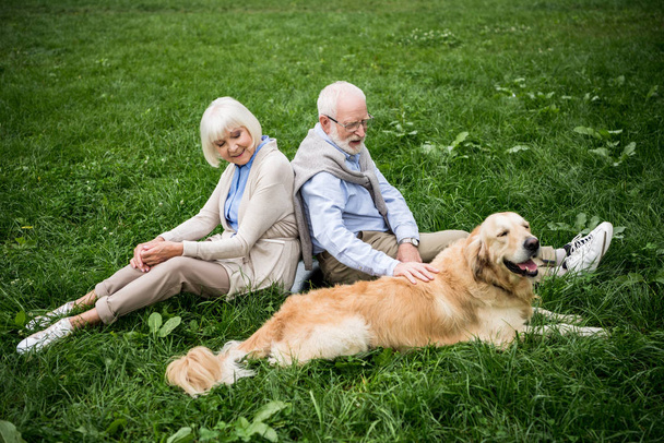 senior couple with golden retriever dog resting on green lawn - 写真・画像
