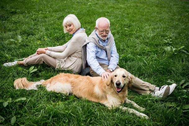 happy senior couple with adorable golden retriever dog sitting on green lawn - Foto, immagini