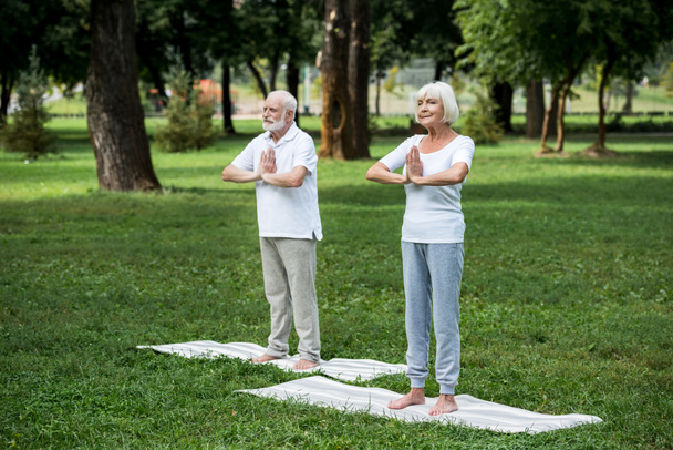 счастливая старшая пара практикующая медитацию сухасана стоя позирует со сложенными руками
 - Фото, изображение