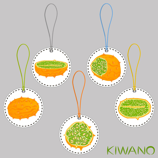 Illustrazione sul tema grande set diversi tipi kiwano africano, gambo verde, melone varie dimensioni. Modello Kiwano costituito da melone farina raccolta per bevanda biologica. Menu bacca kiwano è delizioso melone
. - Vettoriali, immagini