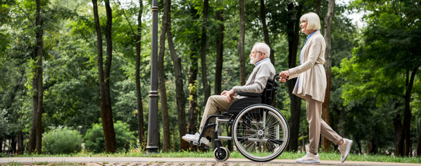 Senior vrouw met man in rolstoel wandelen in het park - Foto, afbeelding