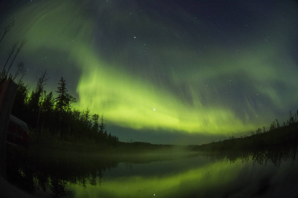 Northern forest in night with polar lights - Фото, зображення