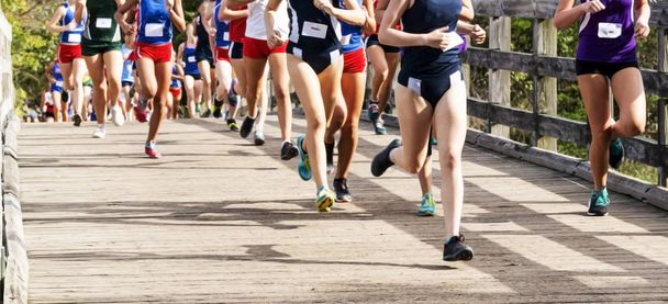 Muchos corredores en una carrera de chicas de secundaria cruzan el país corriendo por un puente de madera en el Parque Estatal Sunken Meadow en Nueva York
. - Foto, Imagen