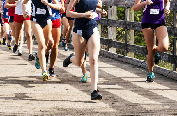 Muchos corredores en una carrera de chicas de secundaria cruzan el país corriendo por un puente de madera en el Parque Estatal Sunken Meadow en Nueva York
. - Foto, Imagen
