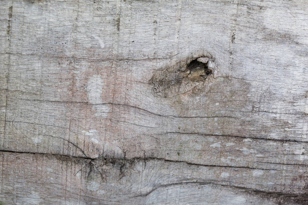 Textura de madera rústica, vacía Fondo de madera suave con patrón natural - Foto, imagen