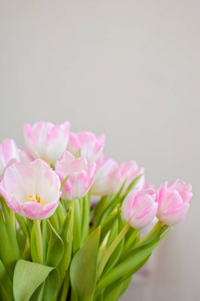 Closeup měkké růžové tulipány pro den matek a jako dekorace interiéru jaro - Fotografie, Obrázek