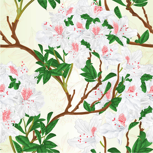 Bezešvých textur bílé rododendrony větve horský keř a rowan berry vintage vektorové ilustrace upravitelné ručně nakreslete - Vektor, obrázek