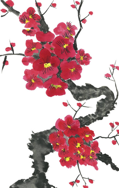 A branch of a blossoming sakura. Pink and red stylized flowers of plum mei and  wild cherry . Watercolor and ink illustration of tree in style sumi-e, go-hua,  u-sin. Oriental traditional painting. - Foto, afbeelding