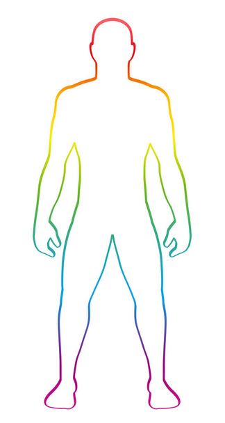 Férfi izmos testalkat. Szivárvány gradiens színű emberi sziluettje. Szerkezeti fehér háttér vektor illusztráció. - Vektor, kép