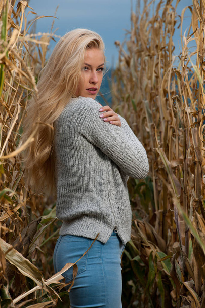Blog style fashion photo of cute blond woman on corn field in late autumn - Foto, imagen