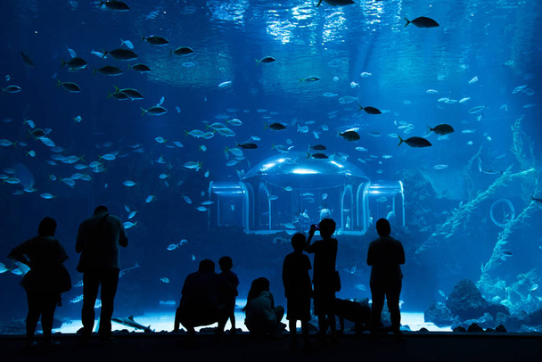 Las Palmas de Gran Canaria, Kanári-szigetek, Spanyolország - július 1-jén 2018: látogatók élvezhetik csodálatos kilátás a tengeri élővilágot a legnagyobb tartály új akvárium Poema del Mar, a legnagyobb íves ablak metakrilát kiállítás, amely létezik a worl - Fotó, kép