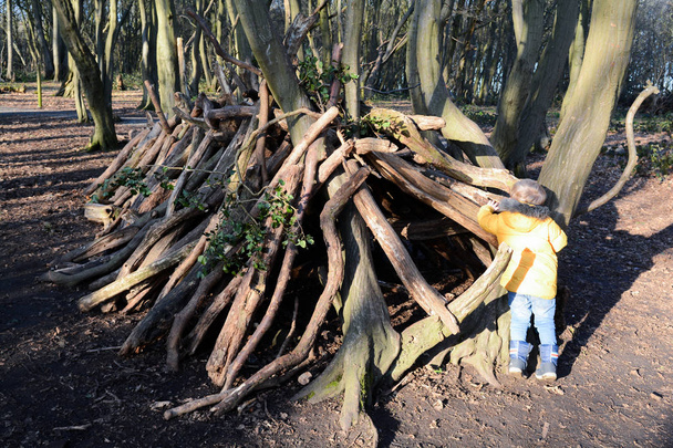 Young boy playing outside learning to build a den in the forest - Foto, afbeelding