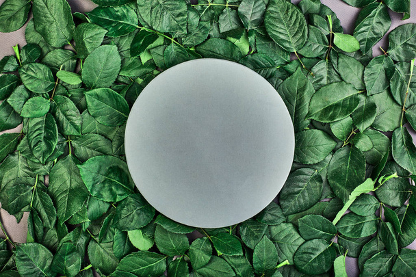 feuilles vertes de roses avec cercle gris pour le texte. carte de vœux et élément design
 - Photo, image