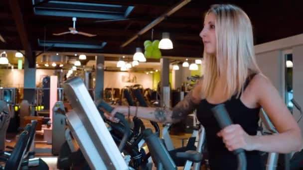 Girl in a gym - workout for the perfect body - Záběry, video