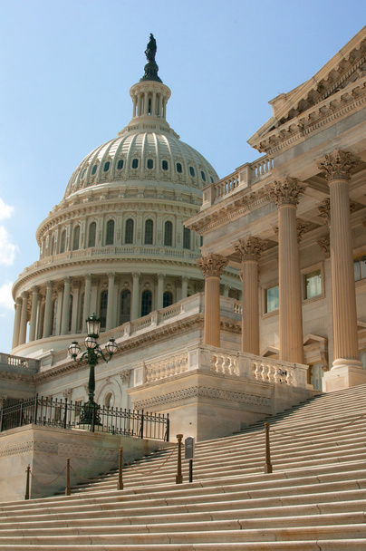 budova Capitol ve Washingtonu DC - Fotografie, Obrázek
