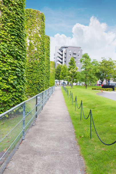 Walkway in the park with modern building landscape. - Photo, Image