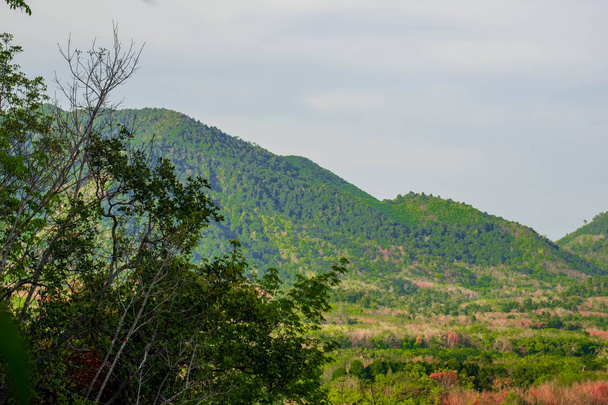 Widok, Las i góry z drewnianymi pierwszego planu. Koh Yao Yai, Phang Nga, Tajlandia - Zdjęcie, obraz