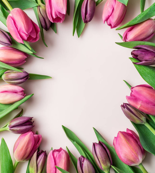 Delicados tulipanes rosados sobre fondo rosa claro. Vista superior. - Foto, Imagen