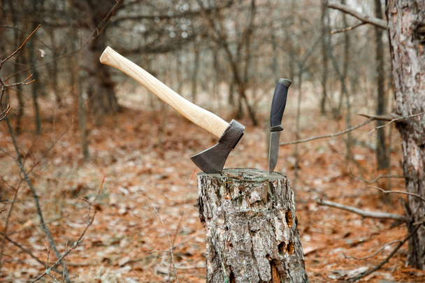 güdük ormanda balta ve av bıçağı emmek - Fotoğraf, Görsel