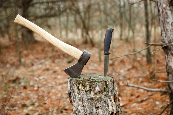 axe and hunting knife suck in the stump in the forest - Photo, Image