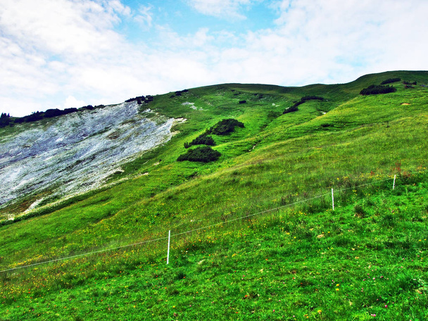 高山の牧草地とアッペンツェル ・ アルプス山脈 - ザンクト ・ ガレンのカントン スイス連邦共和国の斜面の牧草地 - 写真・画像