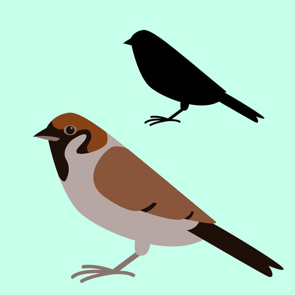 bird sparrow, vector illustration, flat style,  - Vector, Image