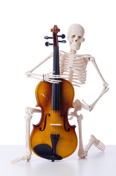 Skelett spielt Geige isoliert auf dem weißen - Foto, Bild