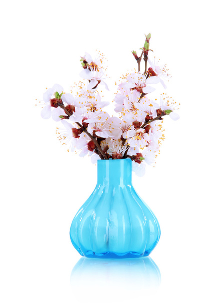 Beautiful blooming branches in vase isolated on white - Zdjęcie, obraz