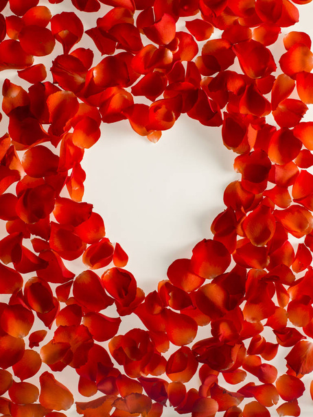 marco patrón de pétalos de rosas rojas sobre un fondo blanco. Vista superior. espacio de copia
 - Foto, Imagen