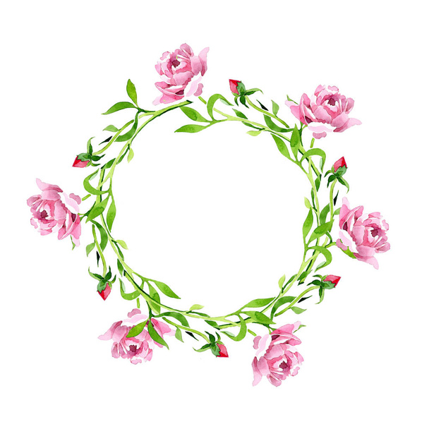 rosa rosa Rosenschmuck florale botanische Blume. Aquarell Hintergrundillustration Set. Rahmen Rand Ornament Quadrat. - Foto, Bild