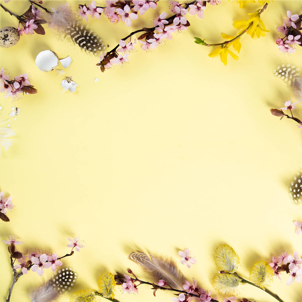 Easter holiday background. Flat-lay of tender Spring cherry blossom flowers on branches, feathers, quail eggs over pastel yellow background, top view - Photo, image