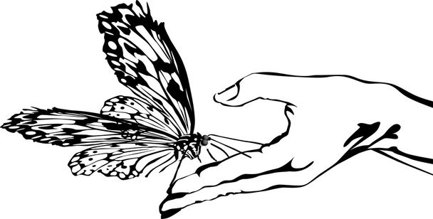 Butterfly on hand - Vector, Image