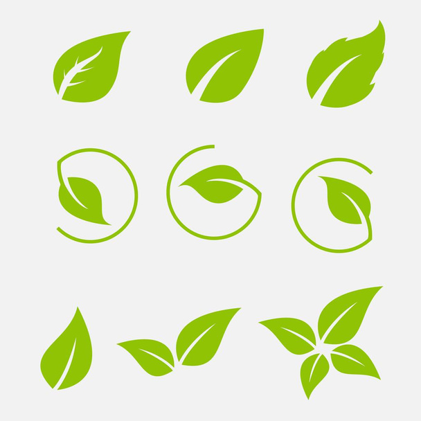 Vector collectie met groene bladeren in vlakke stijl voor pictogrammen en grafisch ontwerp - Vector, afbeelding