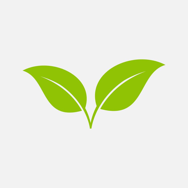 zöld levél ökológia természet elem vektor ikon - Vektor, kép