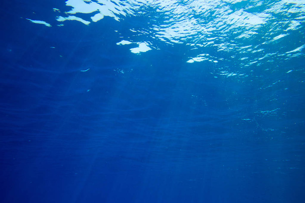 Rauhallinen vedenalainen kohtaus kopiointitilalla - Valokuva, kuva