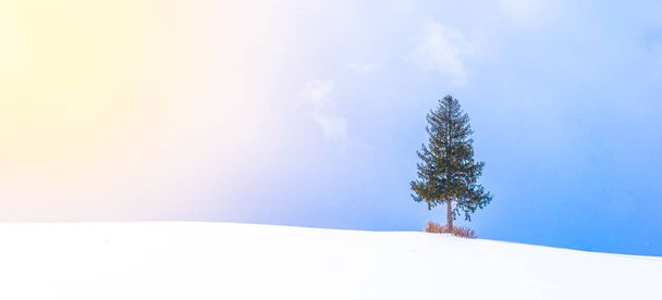 Beau paysage extérieur avec arbre de Noël solitaire dans la saison d'hiver de neige
 - Photo, image