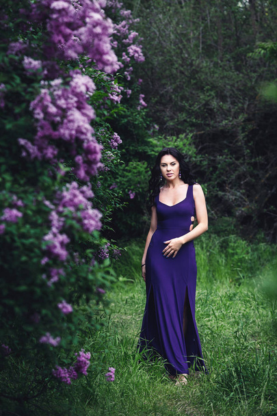 attractive woman in purple dress posing near lilac flowering bushes - Foto, Imagem