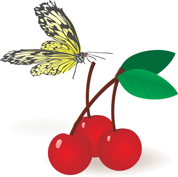 Cherries with butterfly - Vector, Image