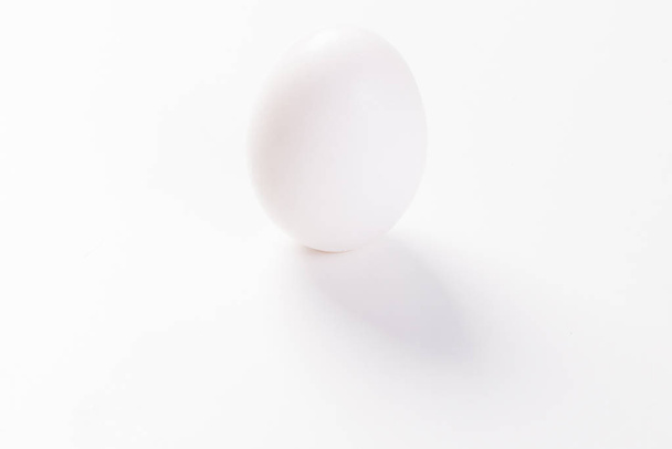 one white egg in with a shadow on a grey background vertically - 写真・画像