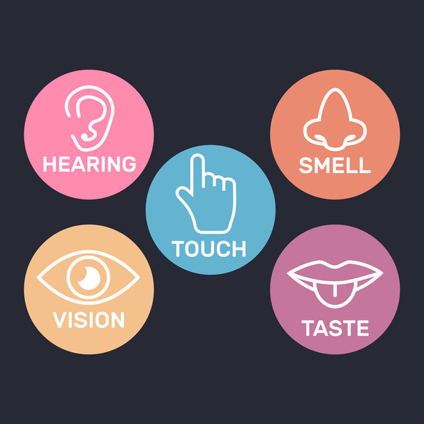 Icono conjunto de cinco sentidos humanos. 5 símbolos de sentidos - Vector, imagen