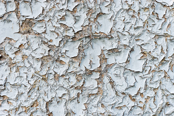 Wood wall covered with cracked paint from old age, texture - Fotografie, Obrázek