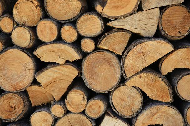 Pile of Logs - Foto, immagini