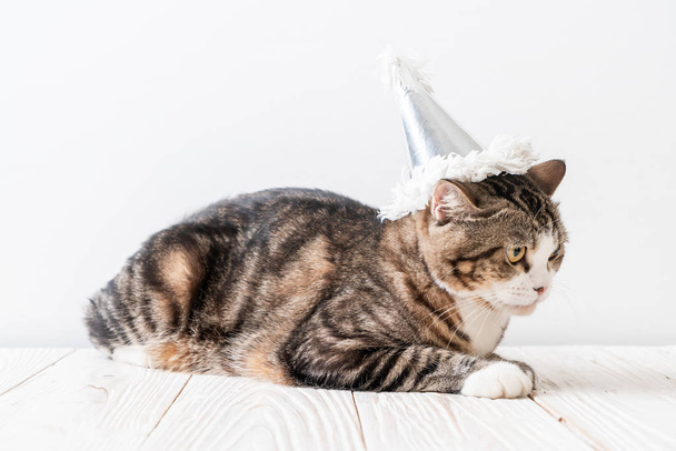 cute grey cat with party hat - Foto, afbeelding
