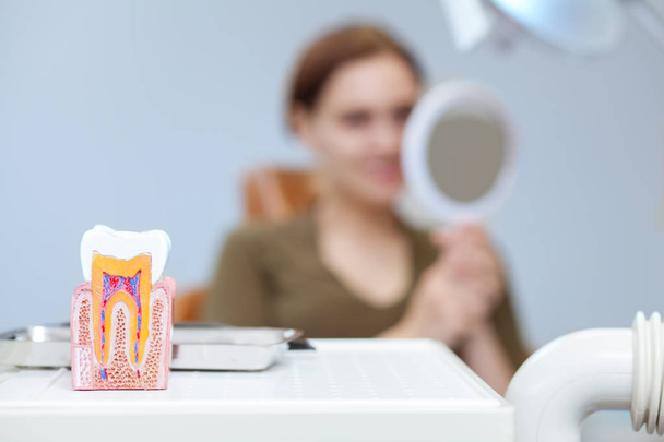 Focus sélectif sur le modèle de dent au premier plan, femme examinant ses dents dans le miroir sur le fond. Une patiente vérifie ses dents après un traitement médical, copie l'espace. Médecine dentaire
 - Photo, image