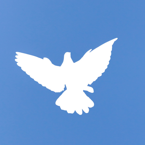 silhouette dove on a background of blue sky - Photo, Image