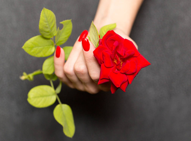red manicure and red rose - Foto, Imagen
